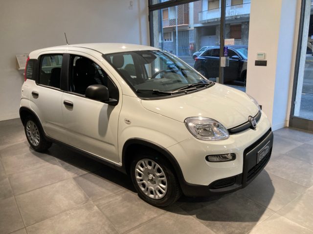 FIAT Panda 1.0 FireFly S&S Hybrid+pack city  PROMO GTAUTO Immagine 0