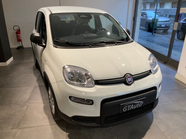 FIAT Panda 1.0 FireFly S&S Hybrid+pack city  PROMO GTAUTO Immagine 1