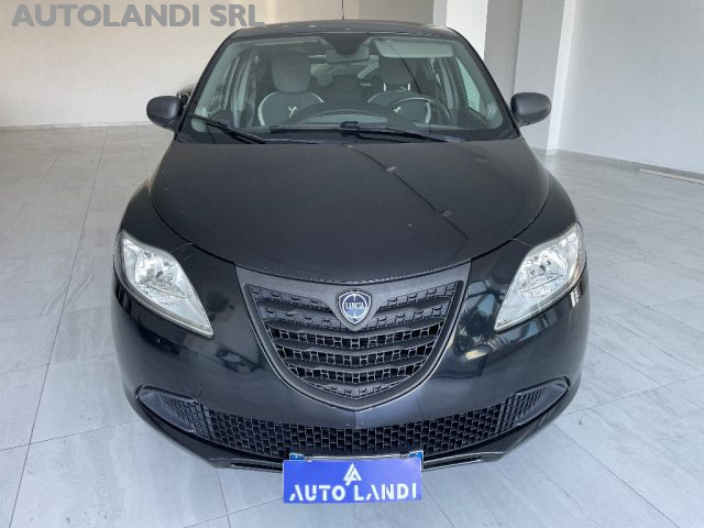 LANCIA Ypsilon 1.2 69 CV 5 porte Elefantino Immagine 2