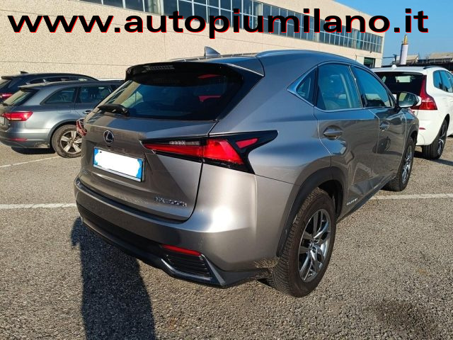 LEXUS NX 300 Hybrid 4WD Business Immagine 1