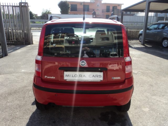 FIAT Panda 1.2 Dynamic Natural Power Immagine 3