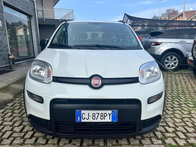 FIAT Panda 1.0 FireFly S&S Hybrid Sport Immagine 2