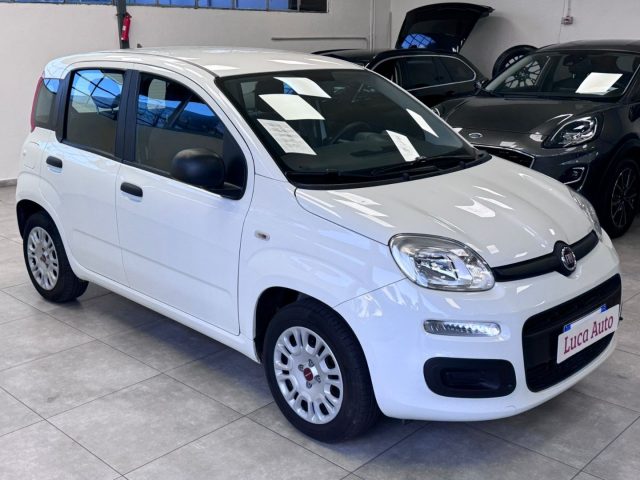 FIAT Panda 1.2 GPL *UNICO PROP.*OK NEOPATENTATI* Immagine 2