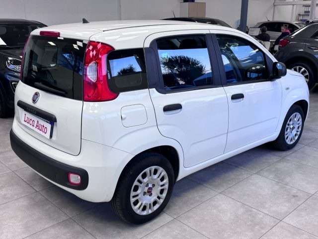 FIAT Panda 1.2 GPL *UNICO PROP.*OK NEOPATENTATI* Immagine 3