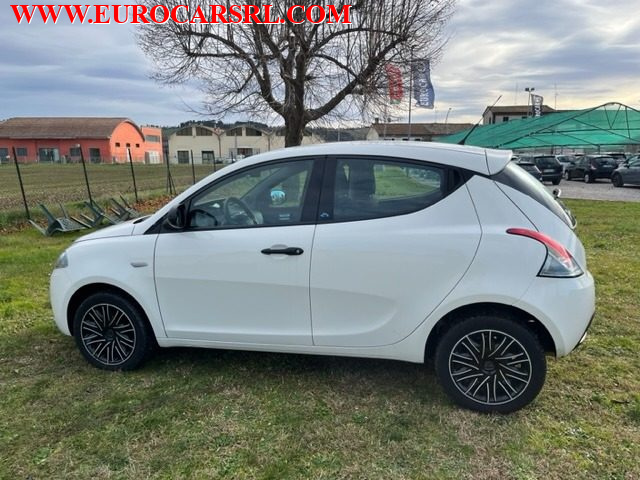 LANCIA Ypsilon 1.2 69 CV 5 porte GPL Ecochic Elefantino Blu Immagine 4