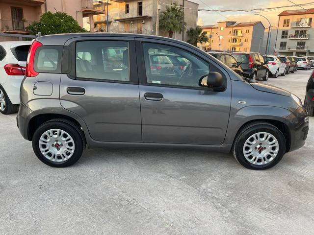 FIAT Panda 1.2 Lounge Immagine 3