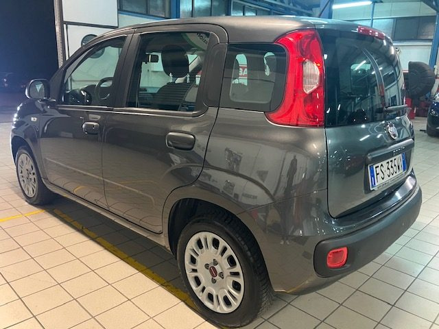 FIAT Panda 1.2 EasyPower Easy Immagine 2