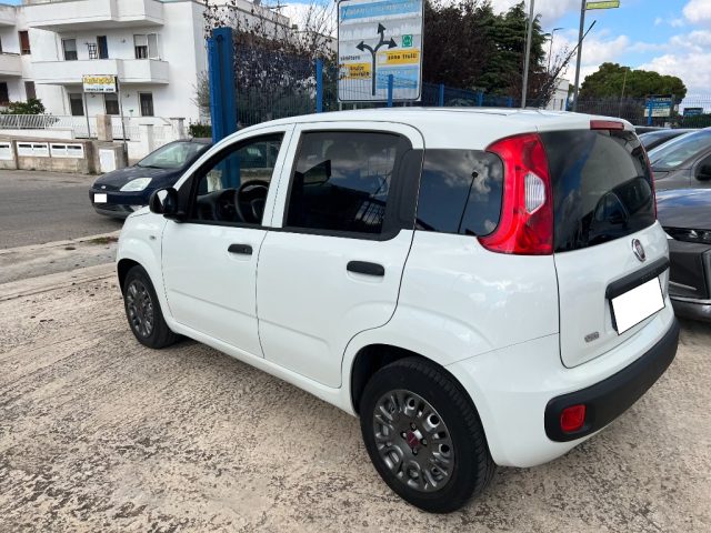 FIAT Panda 1.3 MJT S&S Van 2 posti Immagine 4