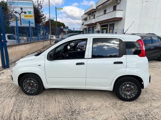 FIAT Panda 1.3 MJT S&S Van 2 posti Immagine 3