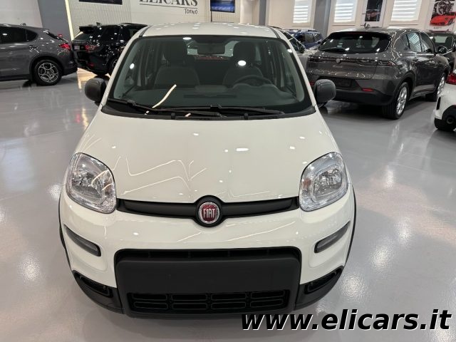 FIAT Panda 1.0 FireFly S&S Hybrid Immagine 1