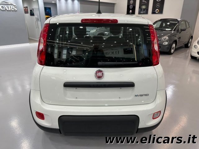 FIAT Panda 1.0 FireFly S&S Hybrid Immagine 4