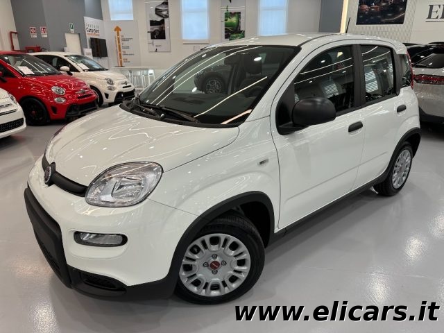 FIAT Panda 1.0 FireFly S&S Hybrid Immagine 0