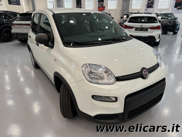 FIAT Panda 1.0 FireFly S&S Hybrid Immagine 2