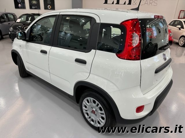 FIAT Panda 1.0 FireFly S&S Hybrid Immagine 3