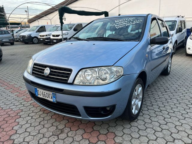 FIAT Punto Punto 5p 1.2 natural power Classic Immagine 0