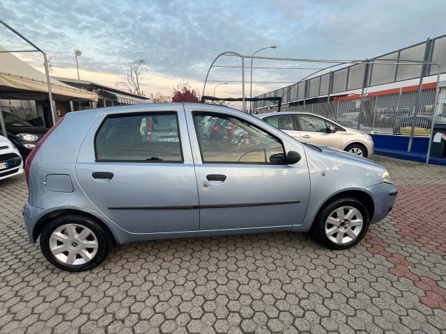 FIAT Punto Punto 5p 1.2 natural power Classic Immagine 4