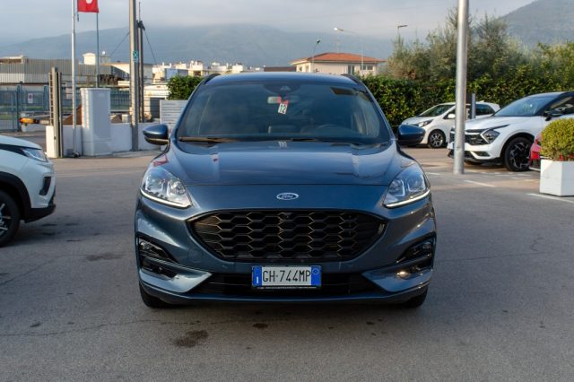 FORD Kuga 1.5 EcoBlue 120 CV aut. 2WD ST-Line Immagine 1