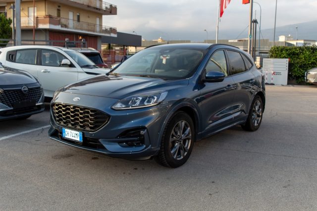 FORD Kuga 1.5 EcoBlue 120 CV aut. 2WD ST-Line Immagine 2