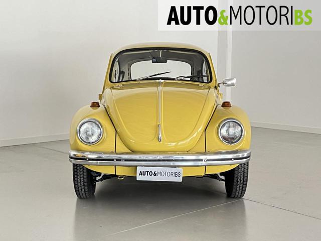 VOLKSWAGEN Maggiolino 11 / D11 *RESTAURO TOTALE* Immagine 1