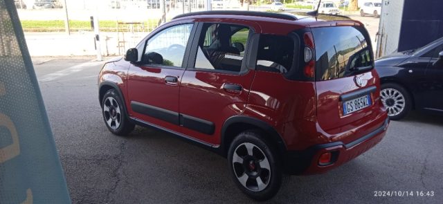 FIAT Panda 1.0 FireFly S&S Hybrid Immagine 3