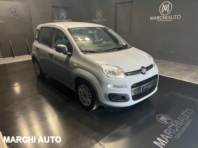 FIAT Panda 1.0 FireFly S&S Hybrid Immagine 2