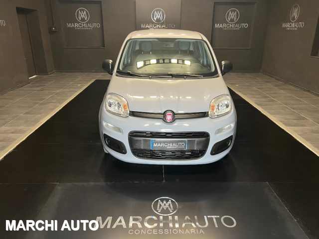 FIAT Panda 1.0 FireFly S&S Hybrid Immagine 1