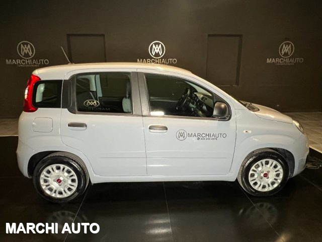 FIAT Panda 1.0 FireFly S&S Hybrid Immagine 3