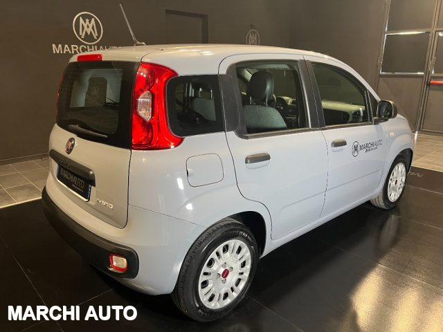 FIAT Panda 1.0 FireFly S&S Hybrid Immagine 4