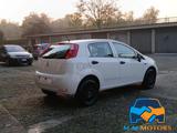 FIAT Punto 1.4 8V 5 porte Natural Power Street