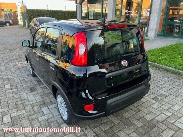 FIAT Panda MY25 1.0 FireFly S&S Hybrid  PREZZO VERO Immagine 2