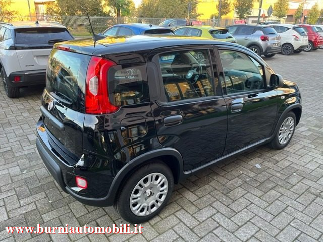 FIAT Panda MY25 1.0 FireFly S&S Hybrid  PREZZO VERO Immagine 3