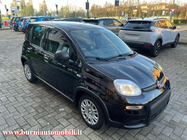 FIAT Panda MY25 1.0 FireFly S&S Hybrid  PREZZO VERO Immagine 4