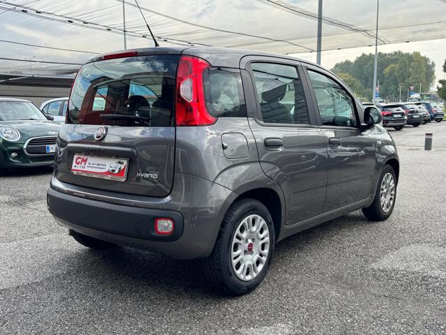 FIAT Panda 1.0 FireFly S&S Hybrid Immagine 3