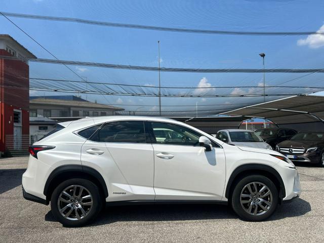 LEXUS NX 300h Hybrid Business 197CV 4wd#PROMOFIN Immagine 3