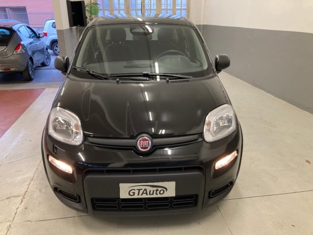 FIAT Panda 1.0 FireFly S&S Hybrid Pandina PROMO GTAUTO Immagine 2