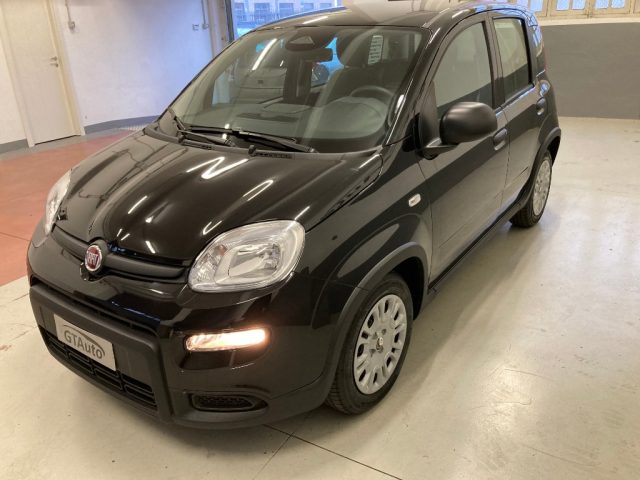 FIAT Panda 1.0 FireFly S&S Hybrid Pandina PROMO GTAUTO Immagine 3