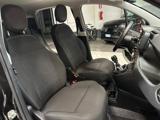 FIAT Panda 1.0 FireFly S&S Hybrid NEOPATENTATO-IVA ESP