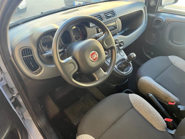 FIAT Panda 1.0 FireFly S&S Hybrid Immagine 2