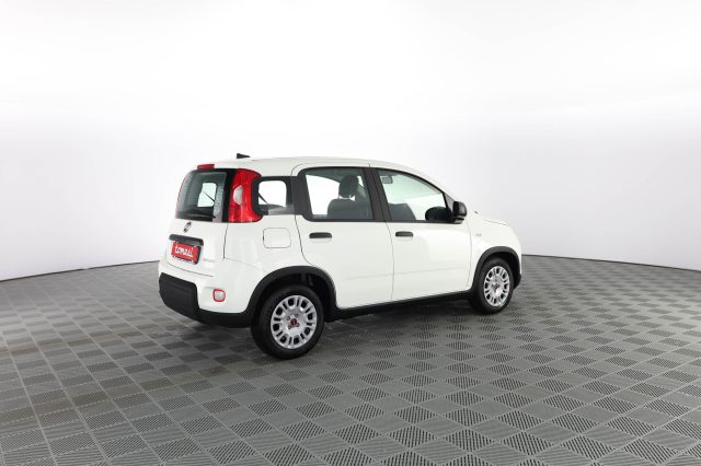 FIAT Panda Panda 1.0 FireFly S&S Hybrid Immagine 2