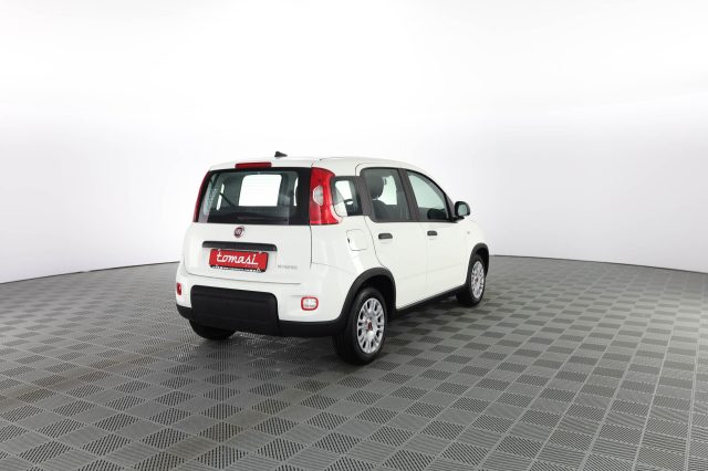 FIAT Panda Panda 1.0 FireFly S&S Hybrid Immagine 3