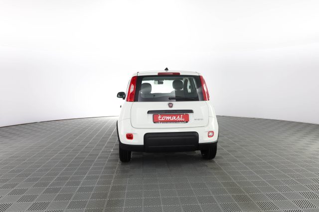 FIAT Panda Panda 1.0 FireFly S&S Hybrid Immagine 4