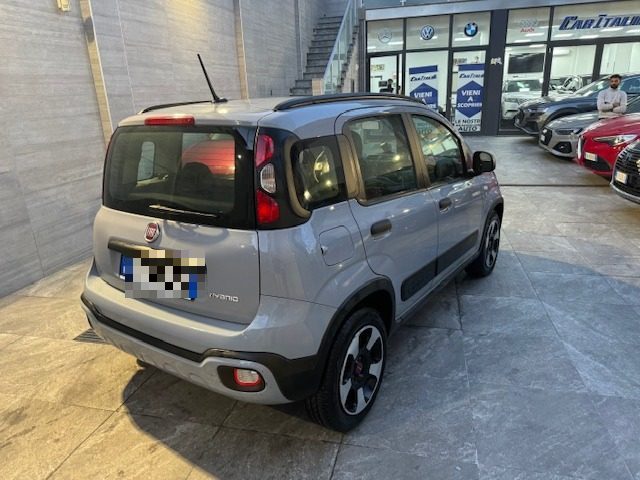 FIAT Panda Cross 1.0 FireFly S&S Hybrid Immagine 3