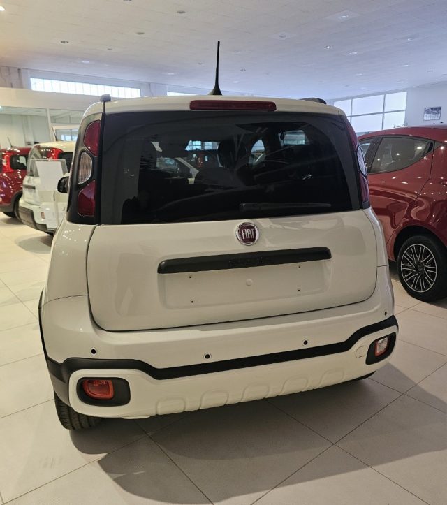 FIAT Panda 1.0 FireFly S&S Hybrid Pandina Immagine 3