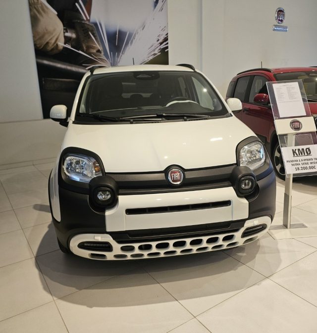 FIAT Panda 1.0 FireFly S&S Hybrid Pandina Immagine 1