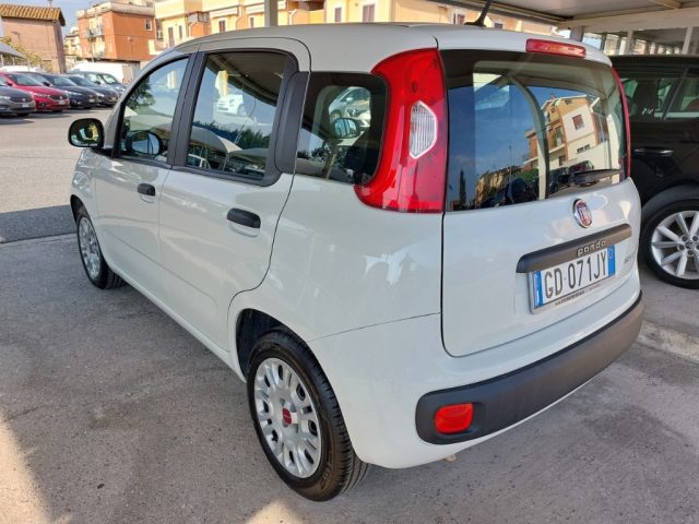 FIAT Panda 1.0 FireFly S&S Hybrid Easy Uniprò km 84000 Clima Immagine 2