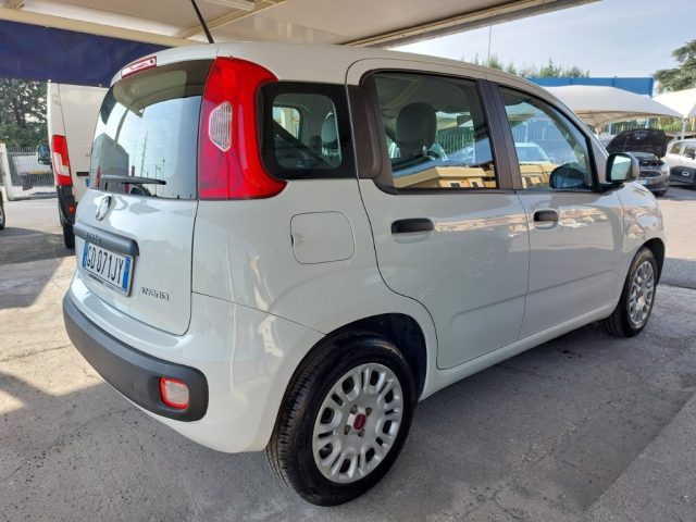 FIAT Panda 1.0 FireFly S&S Hybrid Easy Uniprò km 84000 Clima Immagine 3