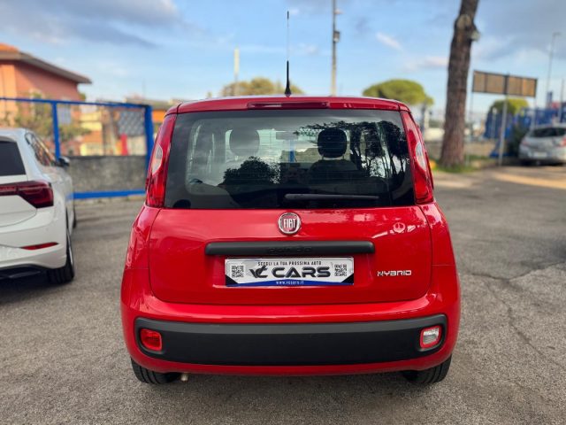 FIAT Panda 1.0 FireFly S&S Hybrid *IVA ESPOSTA* NEOPATENTATI Immagine 4