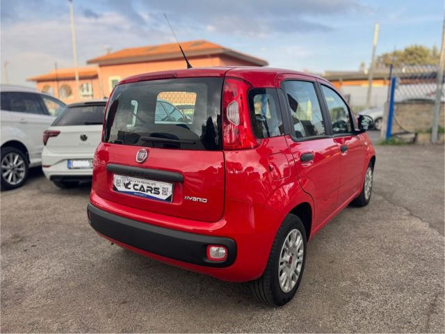 FIAT Panda 1.0 FireFly S&S Hybrid *IVA ESPOSTA* NEOPATENTATI Immagine 3