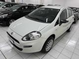 FIAT Punto 1.4 8V 5 porte Natural Power Street