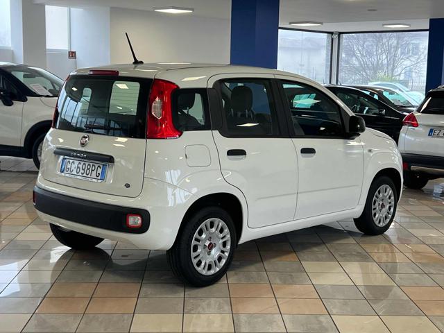 FIAT Panda 1.2 Easy Immagine 3